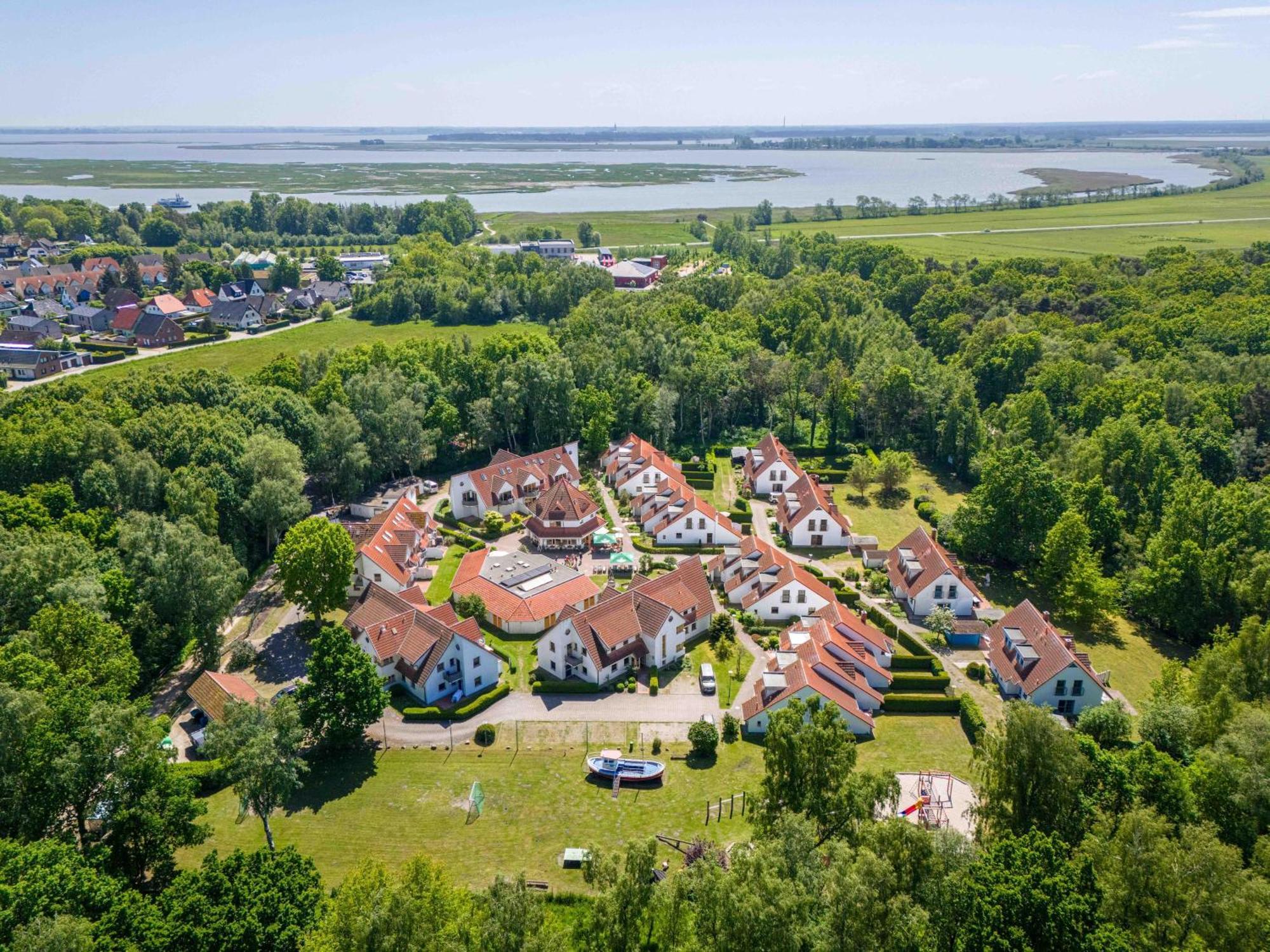 Ferienpark Freesenbruch Reihenhaus 8A - Eisbaer Zingst Buitenkant foto